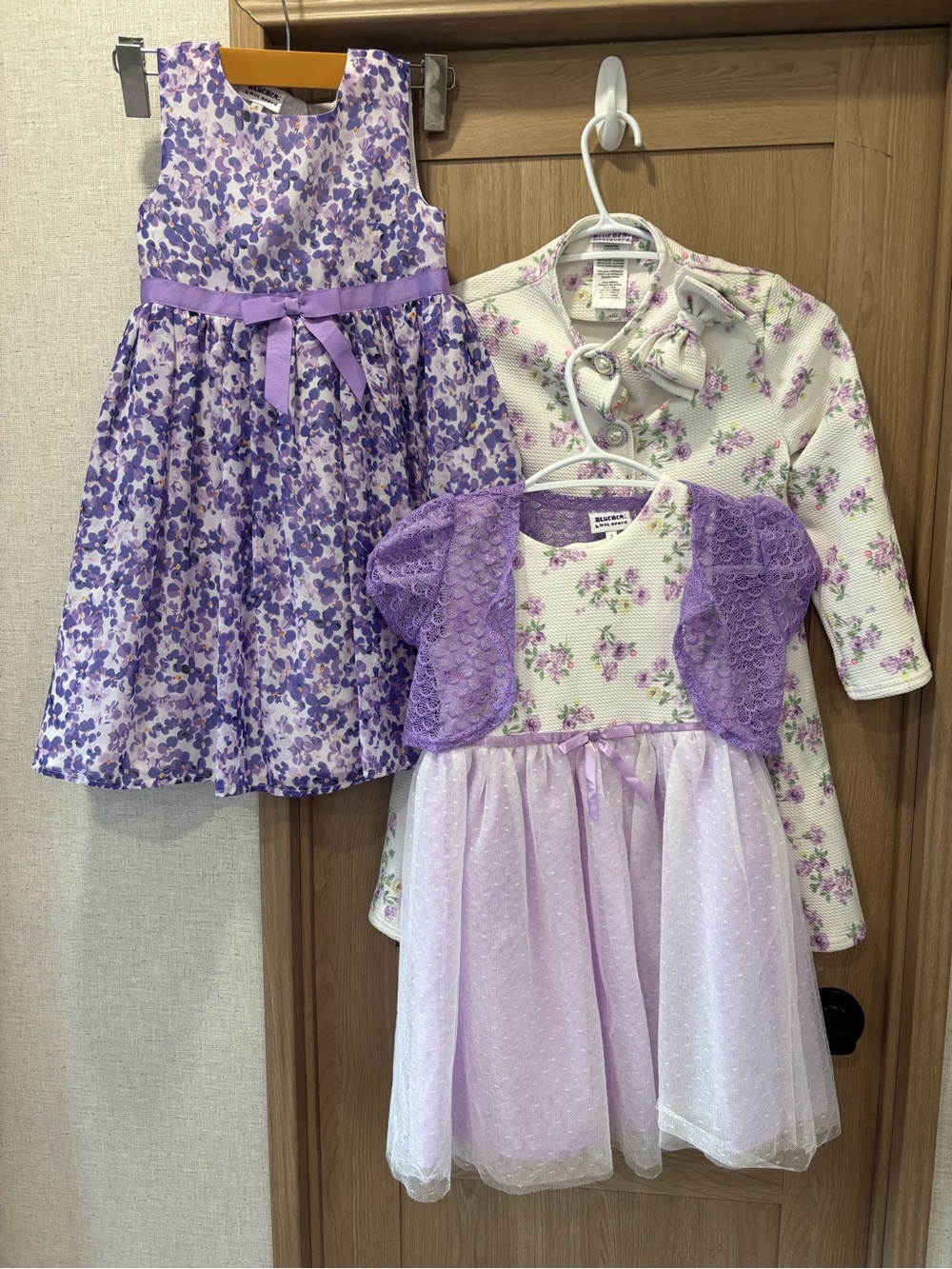 Blueberri Boulevard Girls Dress & Coat Lot Size 6